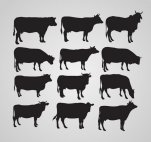 silhouettes-of-cow-23-2147518630